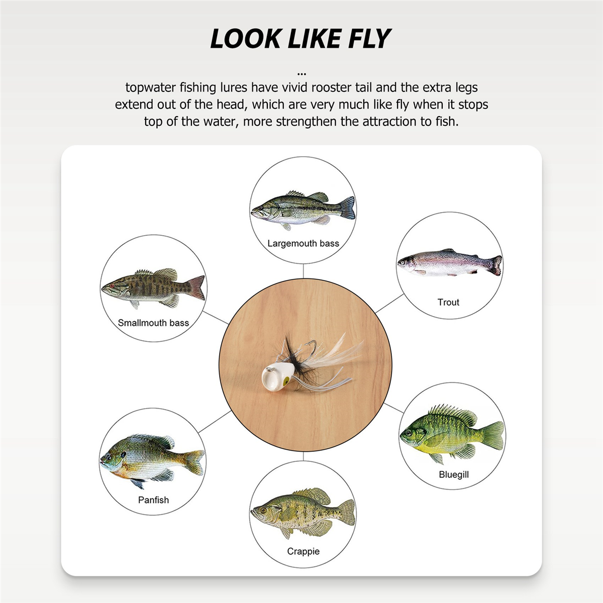 10PCS Fly Fishing Poppers,Topw - Fishing Lure Topwater recension och pris